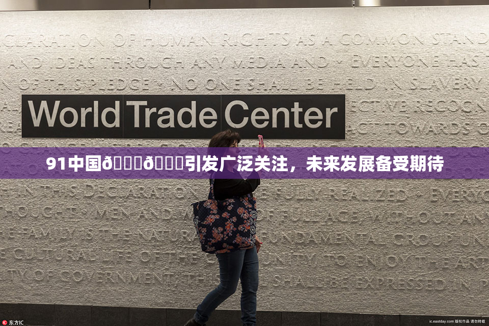 91中国🍆🍑引发广泛关注，未来发展备受期待