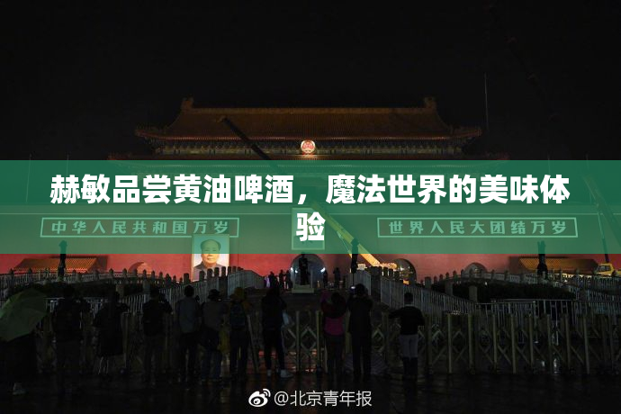 赫敏品尝黄油啤酒，魔法世界的美味体验
