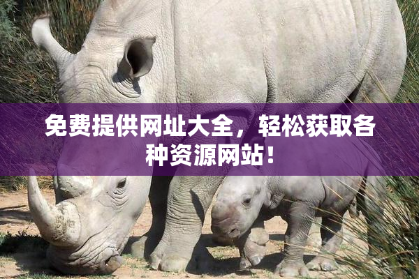 免费提供网址大全，轻松获取各种资源网站！