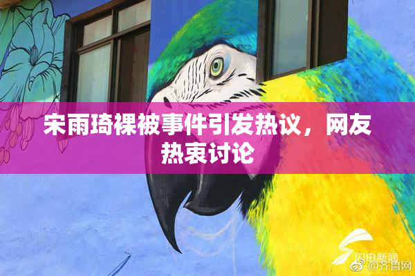 宋雨琦裸被事件引发热议，网友热衷讨论