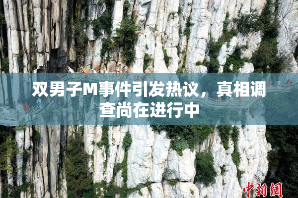 双男子M事件引发热议，真相调查尚在进行中