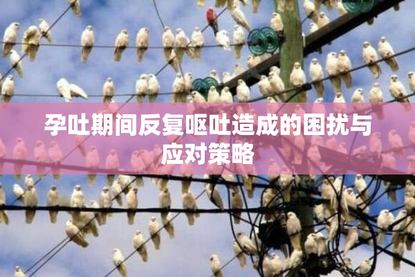 孕吐期间反复呕吐造成的困扰与应对策略