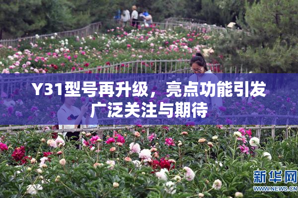 Y31型号再升级，亮点功能引发广泛关注与期待
