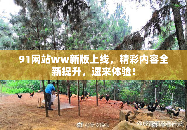 91网站ww新版上线，精彩内容全新提升，速来体验！