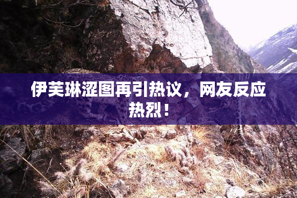 伊芙琳涩图再引热议，网友反应热烈！