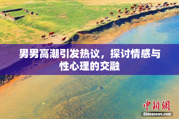 男男高潮引发热议，探讨情感与性心理的交融