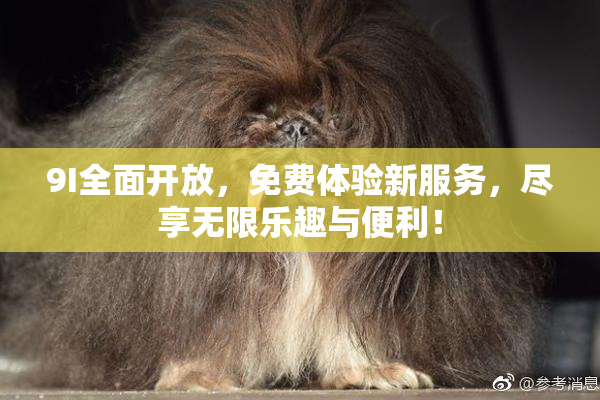 9I全面开放，免费体验新服务，尽享无限乐趣与便利！