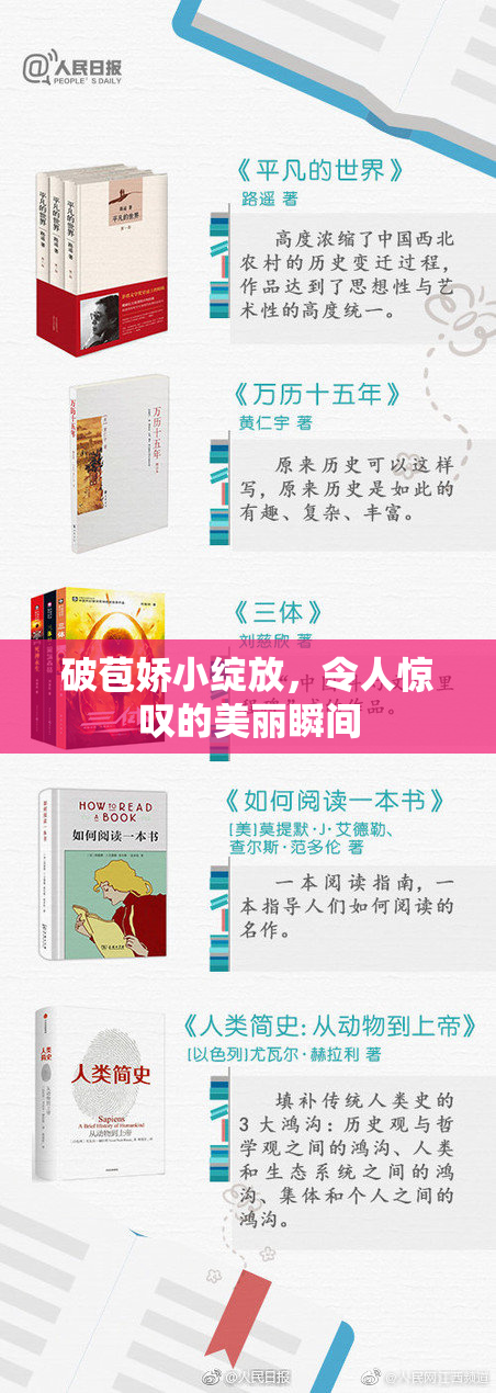 破苞娇小绽放，令人惊叹的美丽瞬间