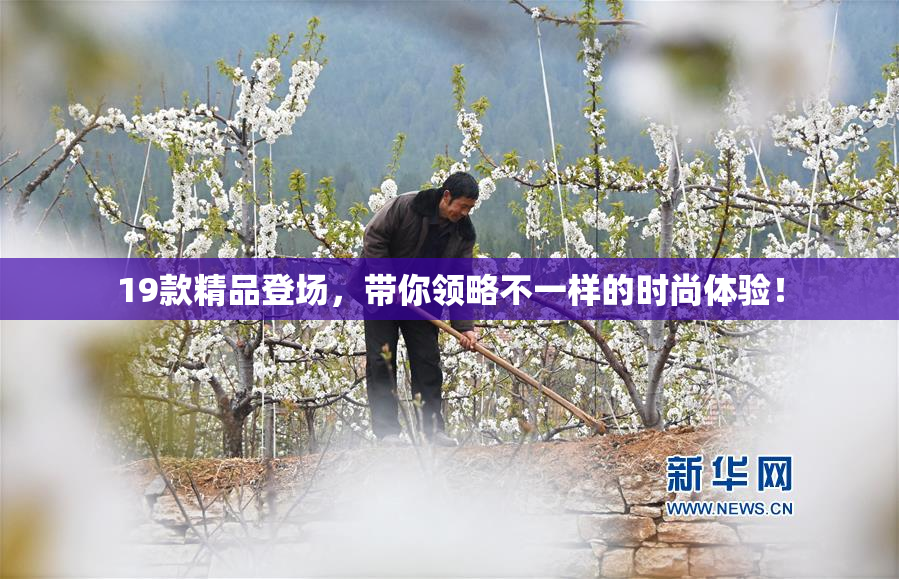 19款精品登场，带你领略不一样的时尚体验！