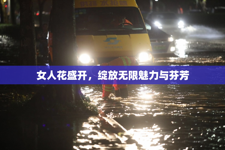 女人花盛开，绽放无限魅力与芬芳