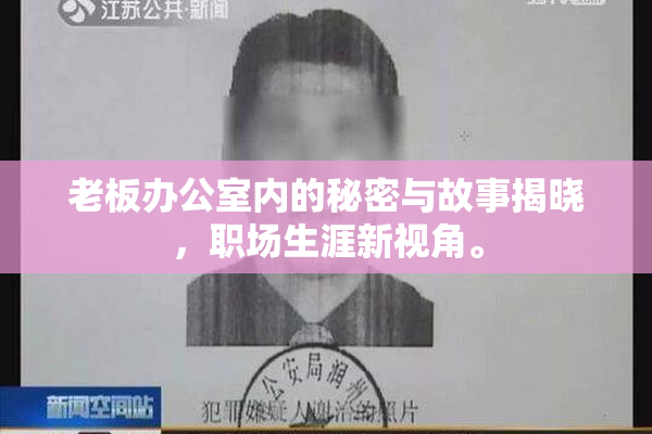 老板办公室内的秘密与故事揭晓，职场生涯新视角。