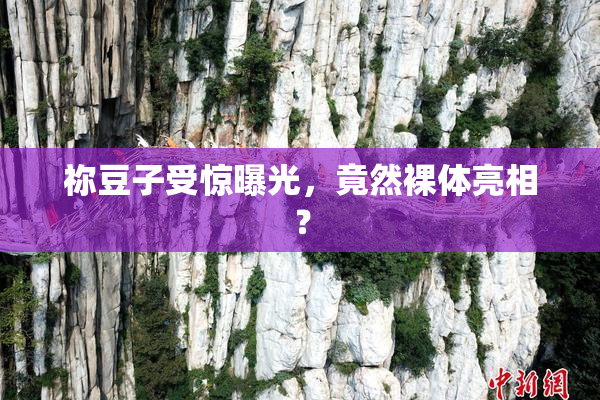 祢豆子受惊曝光，竟然裸体亮相？