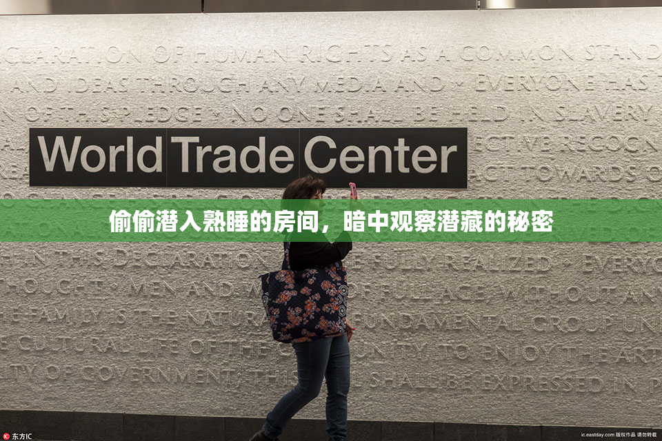 偷偷潜入熟睡的房间，暗中观察潜藏的秘密