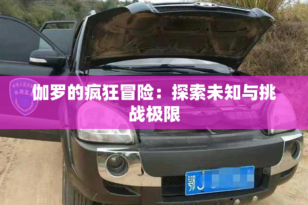 伽罗的疯狂冒险：探索未知与挑战极限