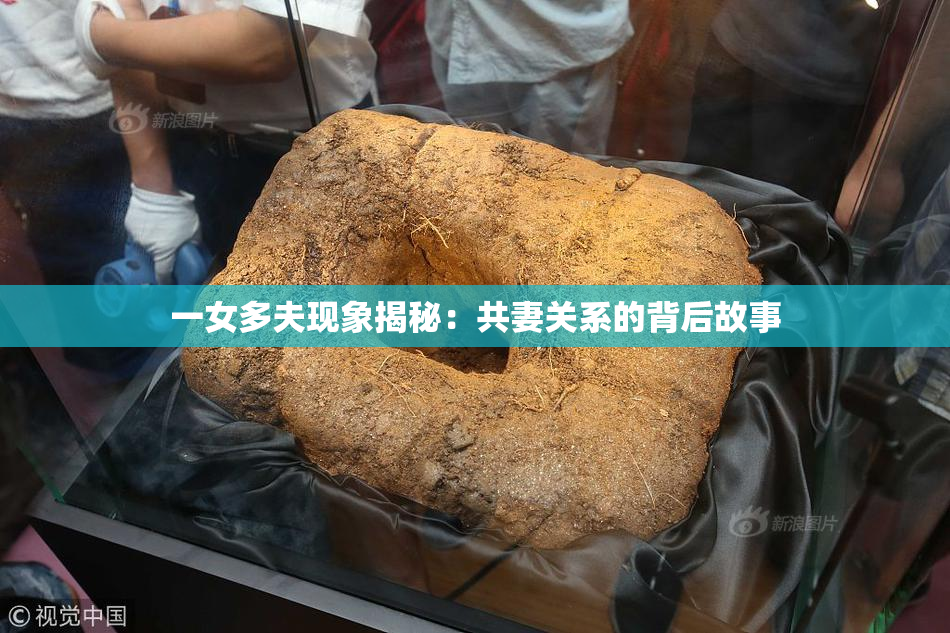 一女多夫现象揭秘：共妻关系的背后故事
