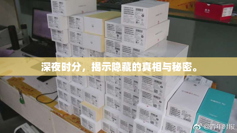 深夜时分，揭示隐藏的真相与秘密。