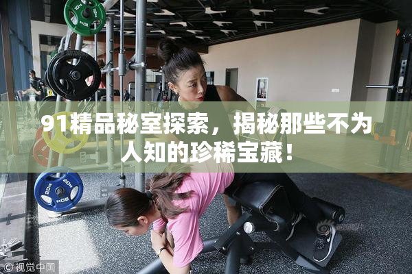 91精品秘室探索，揭秘那些不为人知的珍稀宝藏！
