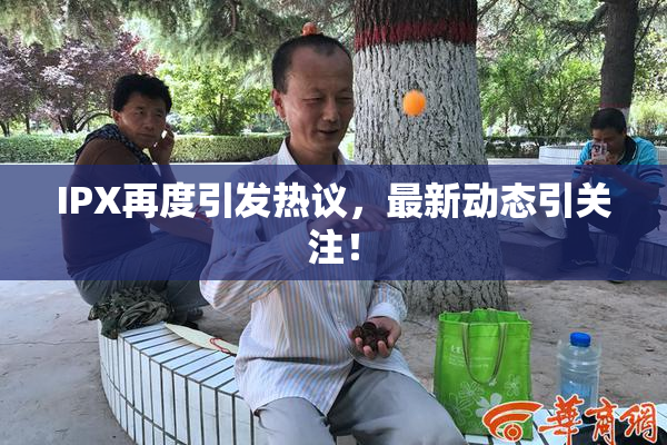 IPX再度引发热议，最新动态引关注！