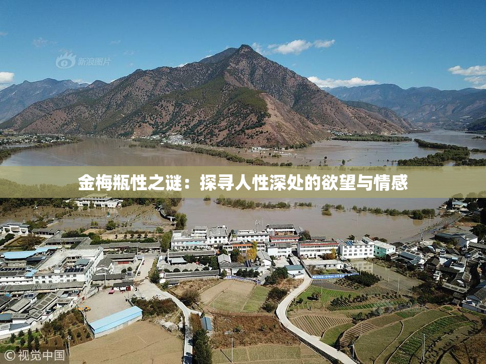 金梅瓶性之谜：探寻人性深处的欲望与情感