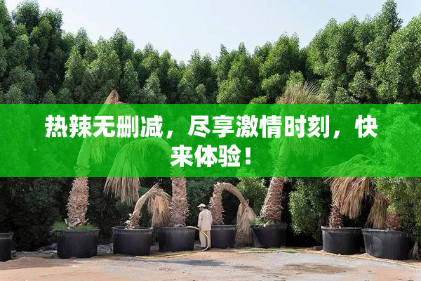 热辣无删减，尽享激情时刻，快来体验！