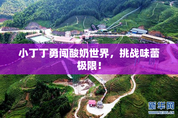 小丁丁勇闯酸奶世界，挑战味蕾极限！