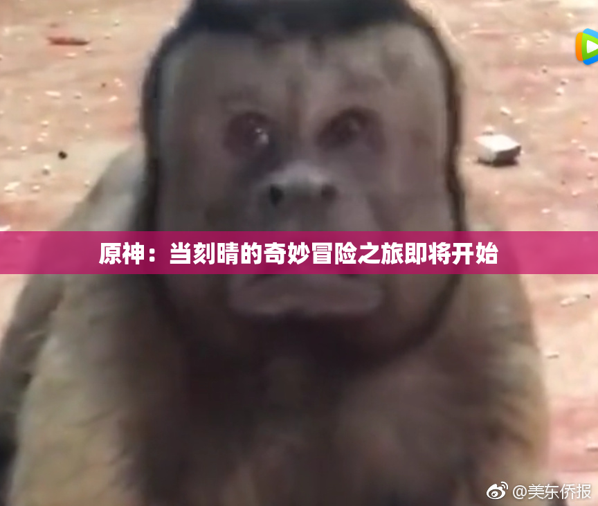 原神：当刻晴的奇妙冒险之旅即将开始