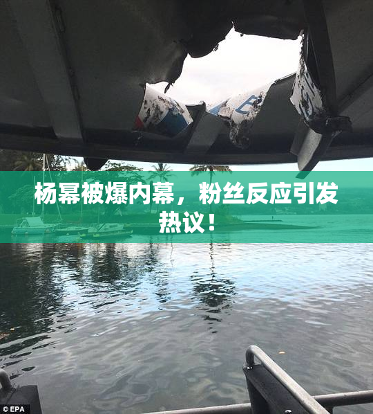 杨幂被爆内幕，粉丝反应引发热议！