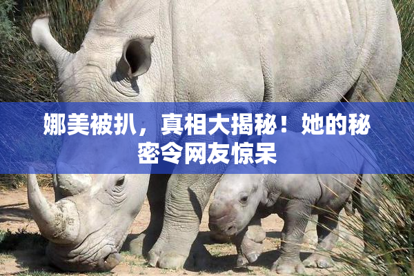 娜美被扒，真相大揭秘！她的秘密令网友惊呆