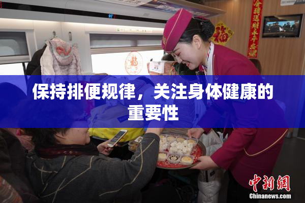 保持排便规律，关注身体健康的重要性