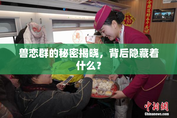 兽恋群的秘密揭晓，背后隐藏着什么？