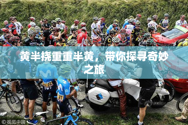 黄半挠重重半黄，带你探寻奇妙之旅