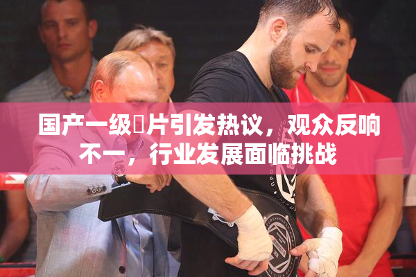 国产一级婬片引发热议，观众反响不一，行业发展面临挑战