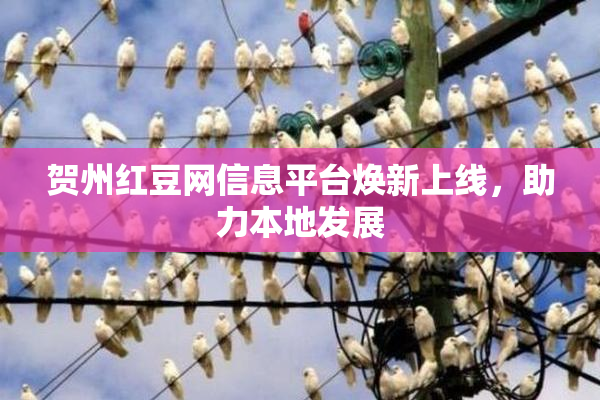 贺州红豆网信息平台焕新上线，助力本地发展