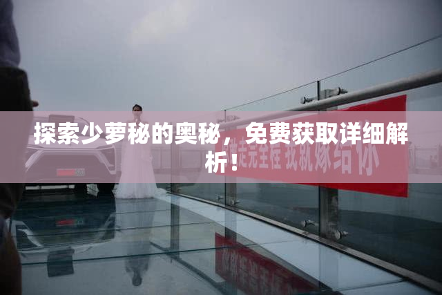 探索少萝秘的奥秘，免费获取详细解析！