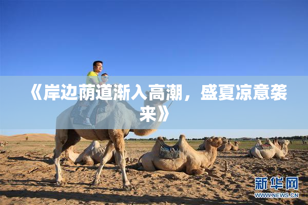 《岸边荫道渐入高潮，盛夏凉意袭来》