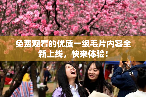 免费观看的优质一级毛片内容全新上线，快来体验！