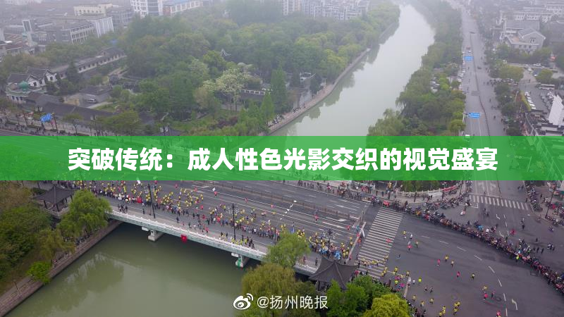 突破传统：成人性色光影交织的视觉盛宴