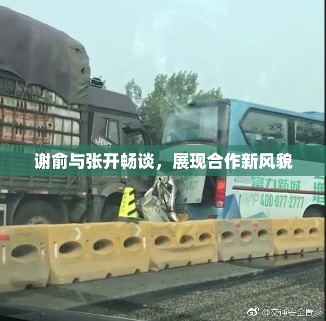 谢俞与张开畅谈，展现合作新风貌