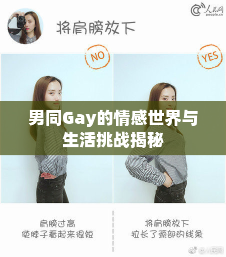 男同Gay的情感世界与生活挑战揭秘