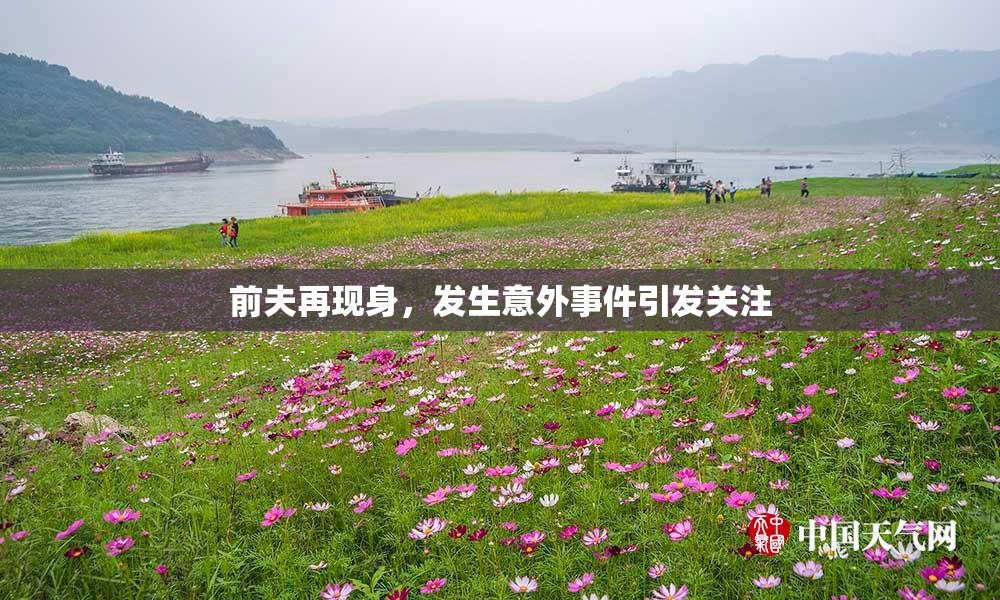 前夫再现身，发生意外事件引发关注