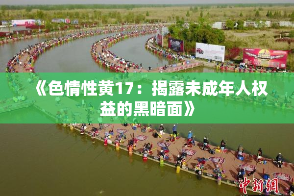 《色情性黄17：揭露未成年人权益的黑暗面》