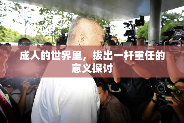 成人的世界里，拔出一杆重任的意义探讨