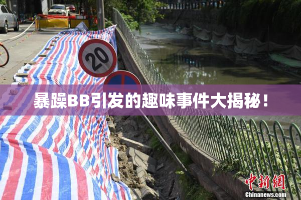 暴躁BB引发的趣味事件大揭秘！