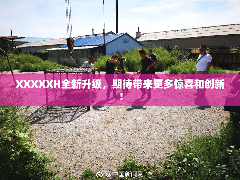 XXXXXH全新升级，期待带来更多惊喜和创新！