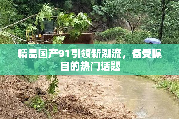 精品国产91引领新潮流，备受瞩目的热门话题