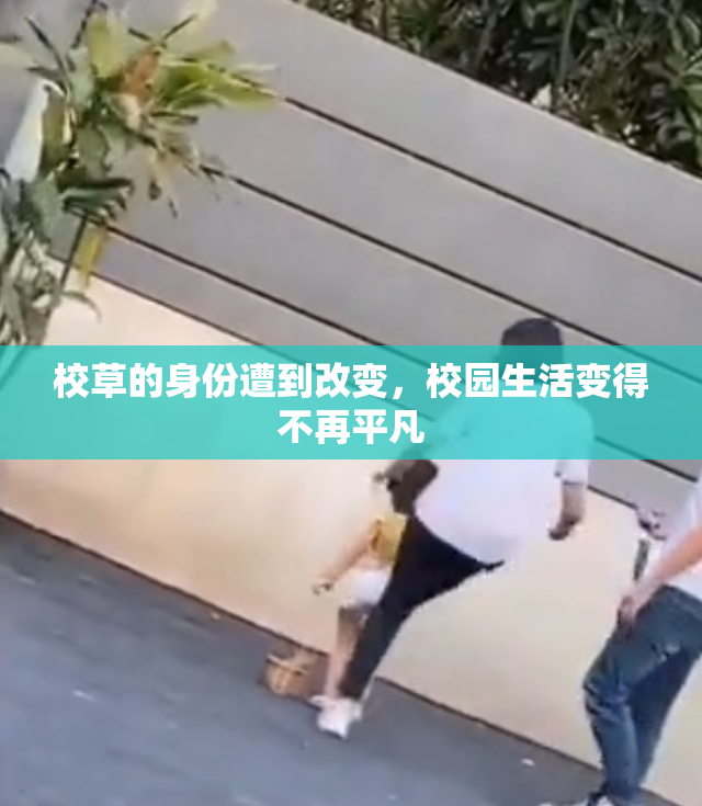 校草的身份遭到改变，校园生活变得不再平凡
