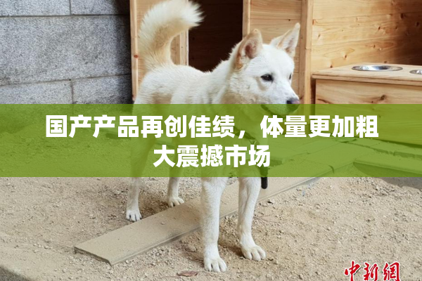 国产产品再创佳绩，体量更加粗大震撼市场