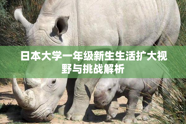 日本大学一年级新生生活扩大视野与挑战解析