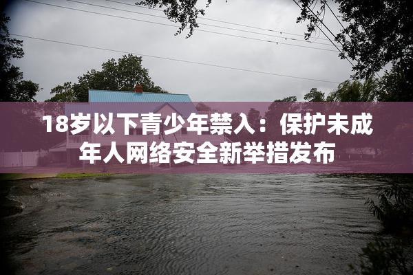 18岁以下青少年禁入：保护未成年人网络安全新举措发布