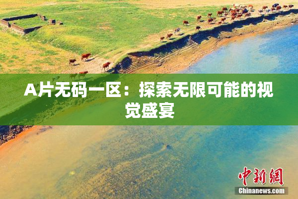 A片无码一区：探索无限可能的视觉盛宴